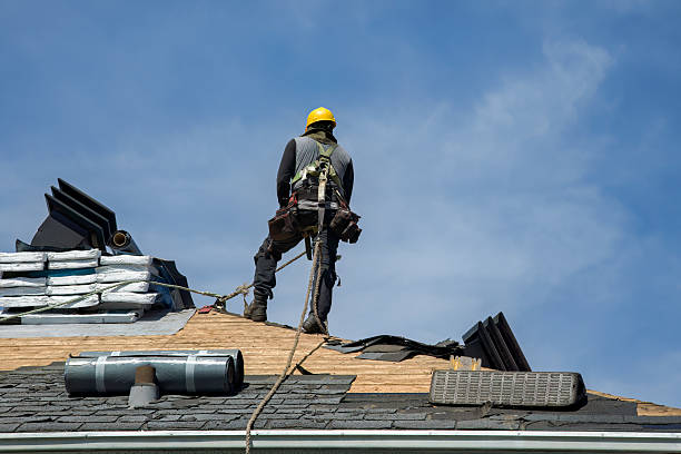 Professional Roof Replacement technician working in Trevor, WI